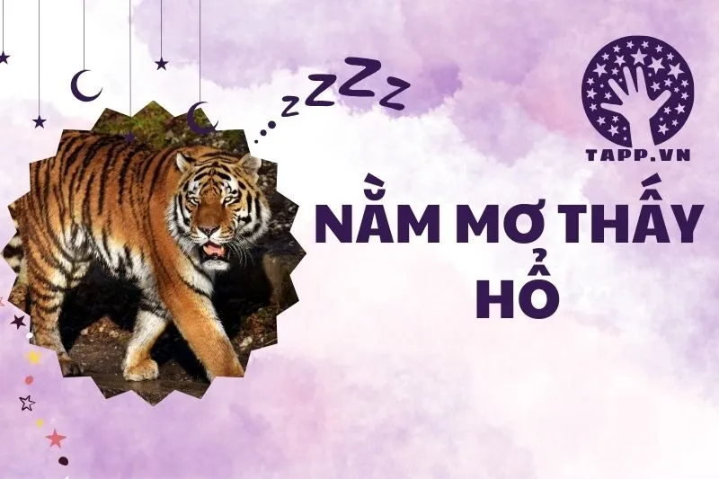 Nằm Mơ Thấy Hổ: Giải Mã Điềm Báo Và Ý Nghĩa Phong Thủy 2025