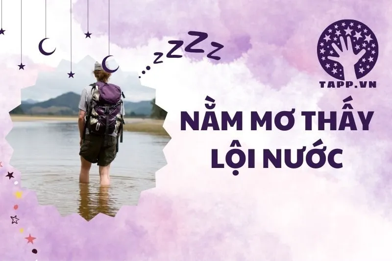 Nằm Mơ Thấy Lội Nước: Ý Nghĩa Điềm Báo Và Cách Giải Mã 2025