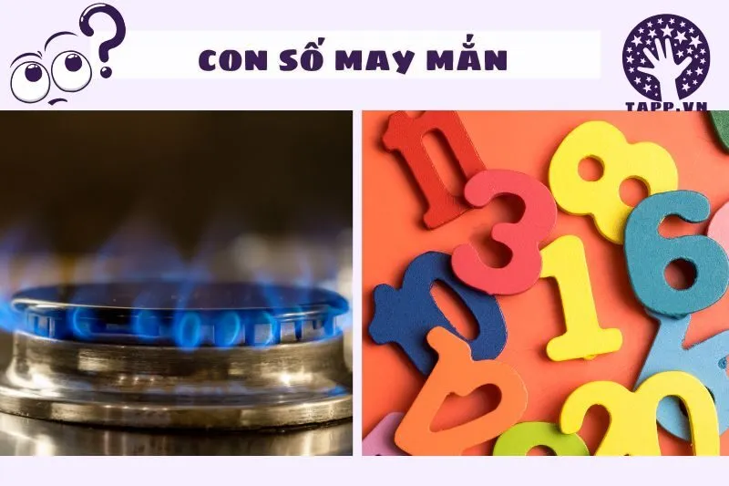 Nằm Mơ Thấy Lửa Bếp Ga Liên Quan Đến Con Số May Mắn Nào?