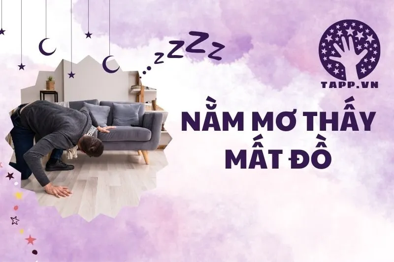 Nằm Mơ Thấy Mất Đồ: Giải Mã Điềm Báo Và Ý Nghĩa Sâu Xa 2025