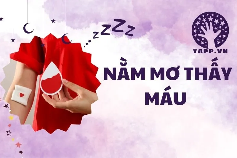 Nằm Mơ Thấy Máu: Giải Mã Điềm Báo, Ý Nghĩa Và Con Số May Mắn 2025