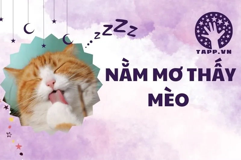 Nằm Mơ Thấy Mèo: Giải Mã Giấc Mơ Và Ý Nghĩa Tâm Linh 2025