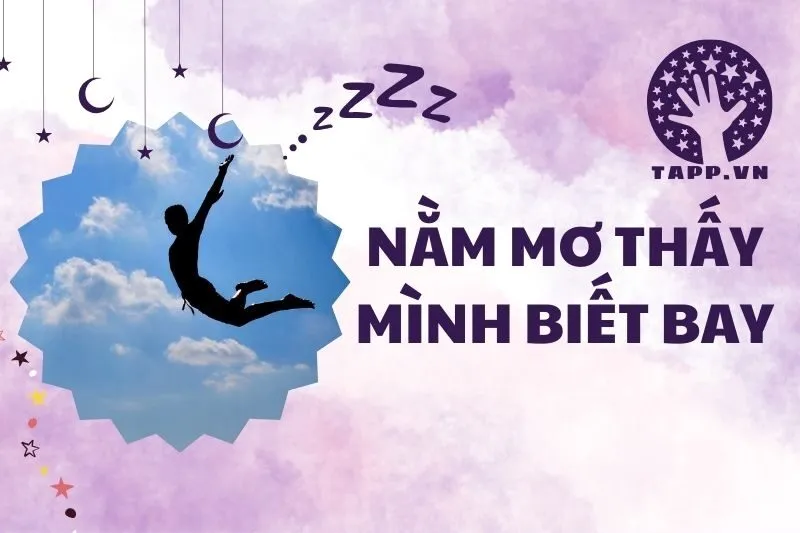 Nằm Mơ Thấy Mình Biết Bay: Giải Mã Ý Nghĩa Và Điềm Báo 2025
