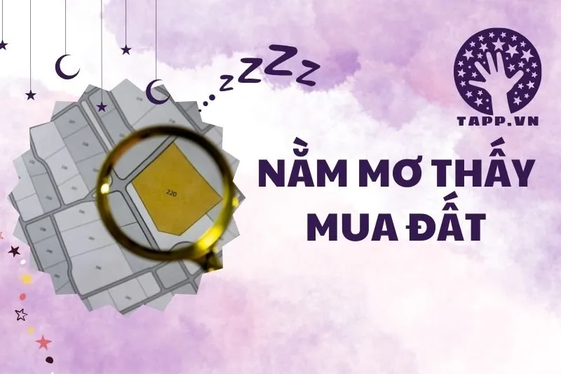Nằm Mơ Thấy Mua Đất: Điềm Báo, Ý Nghĩa Và Con Số May Mắn 2025