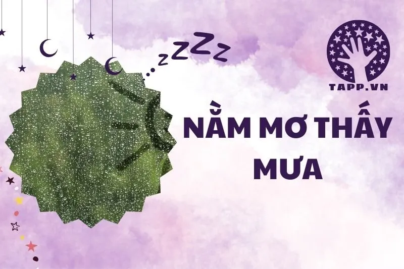 Nằm Mơ Thấy Mưa: Giải Mã Điềm Báo Tốt Xấu Qua Từng Giấc Mơ 2025