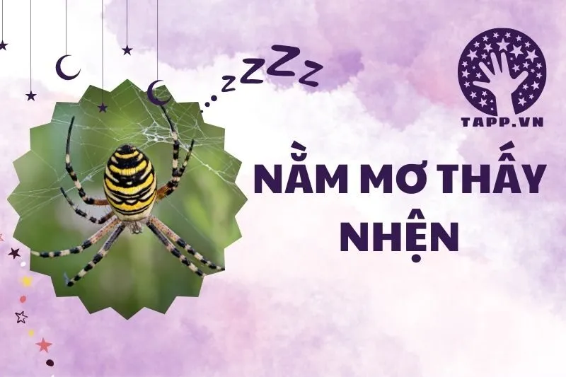 Nằm Mơ Thấy Nhện: Giải Mã Điềm Báo và Ý Nghĩa Đặc Biệt 2025