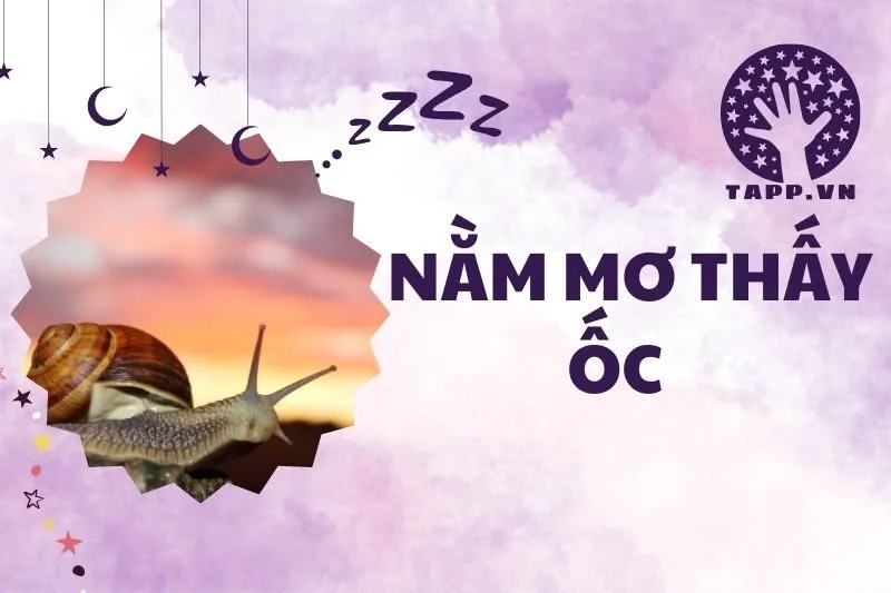 Nằm mơ thấy ốc: Giải mã điềm báo và con số may mắn 2025