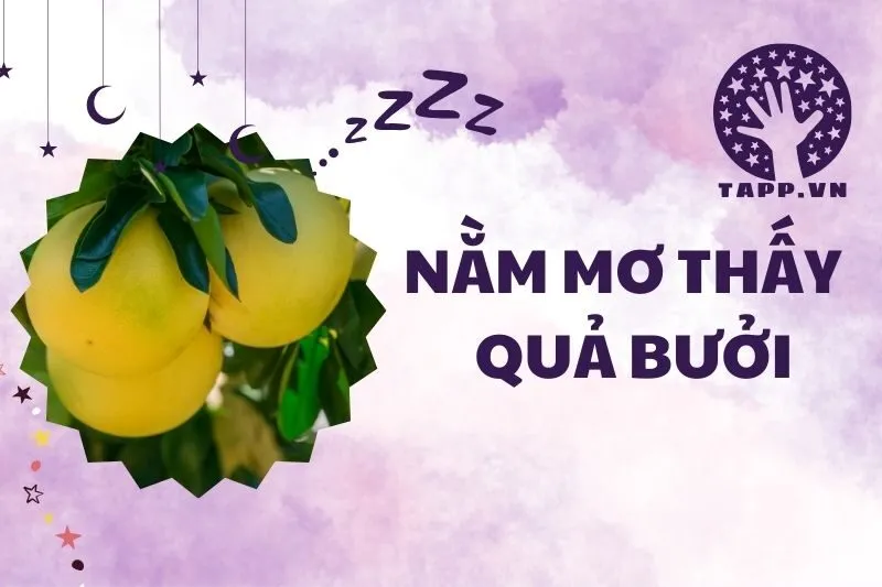 Nằm Mơ Thấy Quả Bưởi: Giải Mã Điềm Báo và Ý Nghĩa Chi Tiết 2025