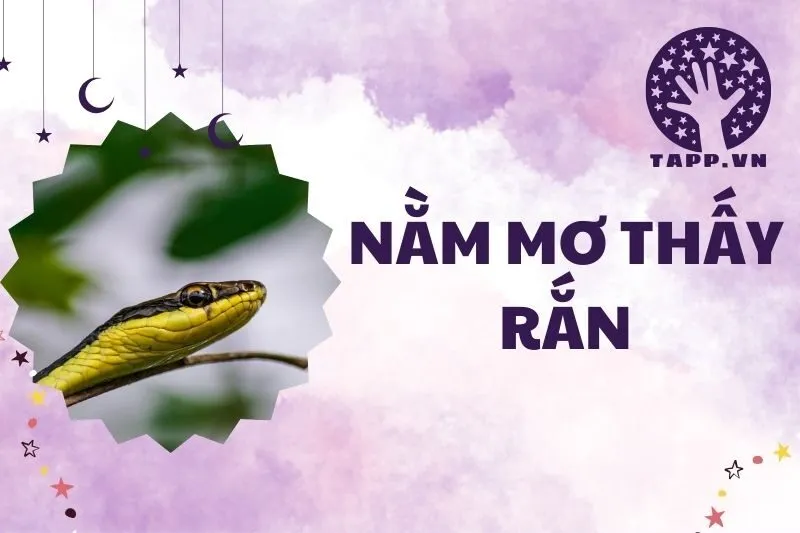 Nằm mơ thấy rắn: Giải mã ý nghĩa và những điềm báo quan trọng 2025