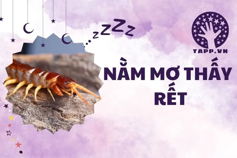 Nằm Mơ Thấy Rết: Giải Mã Điềm Báo Và Ý Nghĩa Cụ Thể 2025