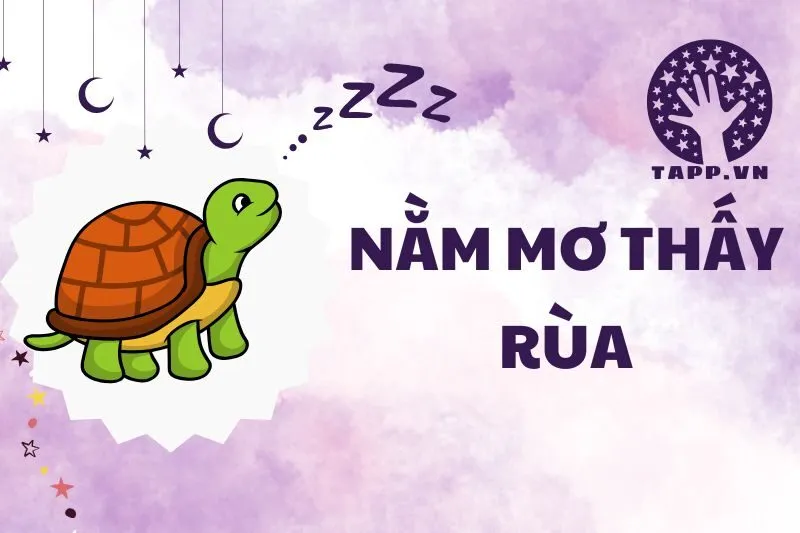 Nằm Mơ Thấy Rùa: Giải Mã Điềm Báo Tốt Xấu Từ Giấc Mơ 2025