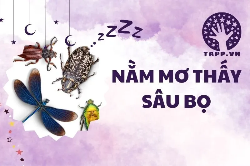 Nằm Mơ Thấy Sâu Bọ: Ý Nghĩa, Điềm Báo và Con Số May Mắn 2025