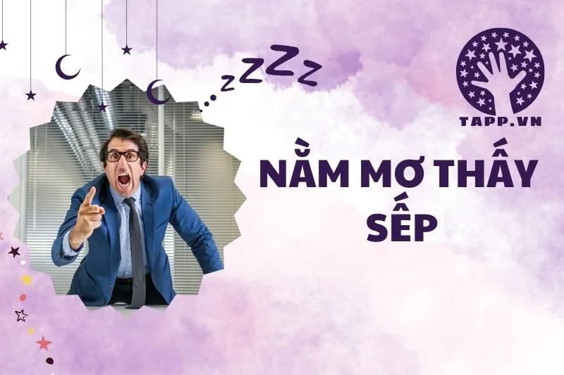 Nằm Mơ Thấy Sếp: Ý Nghĩa Giấc Mơ Và Điềm Báo Chi Tiết 2025