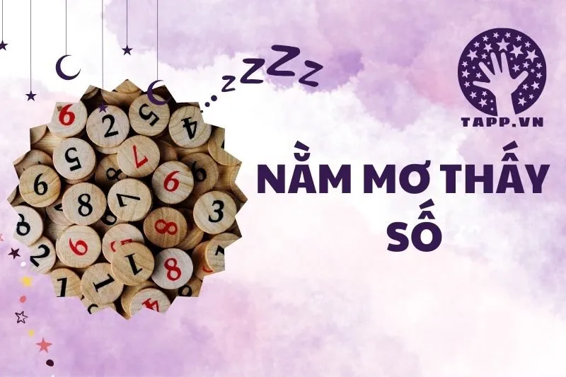 Nằm Mơ Thấy Số: Ý Nghĩa, May Mắn Và Điềm Báo Từ Giấc Mơ 2025