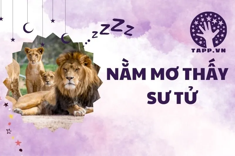 Nằm mơ thấy sư tử: Ý nghĩa, điềm báo và con số liên quan 2025