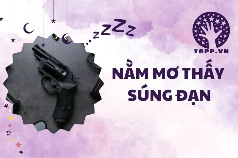 Nằm Mơ Thấy Súng Đạn: Giải Mã Điềm Báo Tốt Xấu Trong Giấc Mơ 2025
