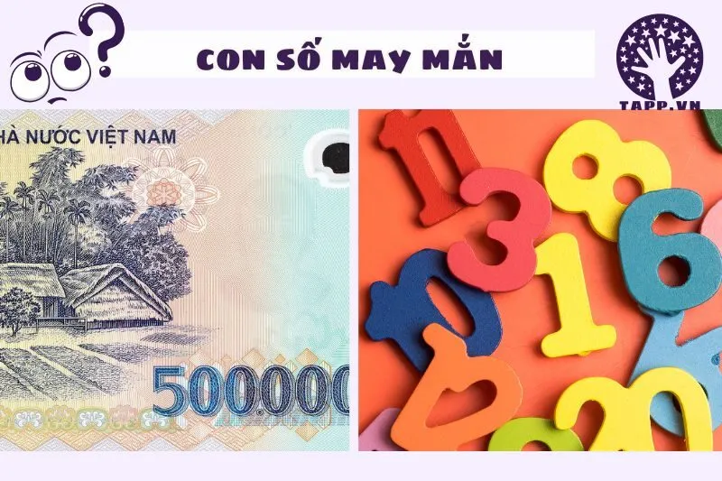 Nằm mơ thấy tiền 500 nghìn liên quan đến con số nào?