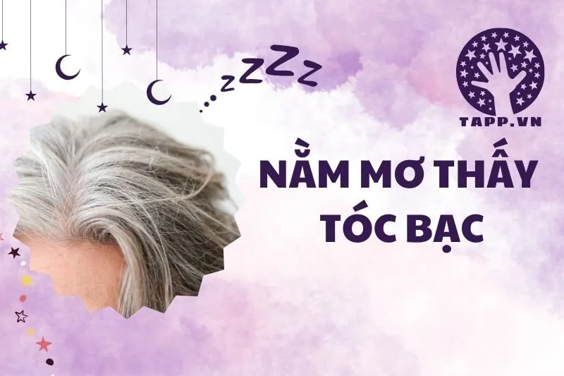 Nằm mơ thấy tóc bạc: Ý nghĩa và điềm báo về sức khỏe, tình cảm 2025