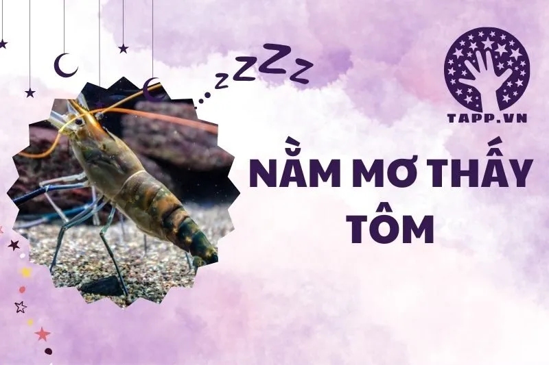 Nằm mơ thấy tôm: Giải mã ý nghĩa và điềm báo chi tiết 2025