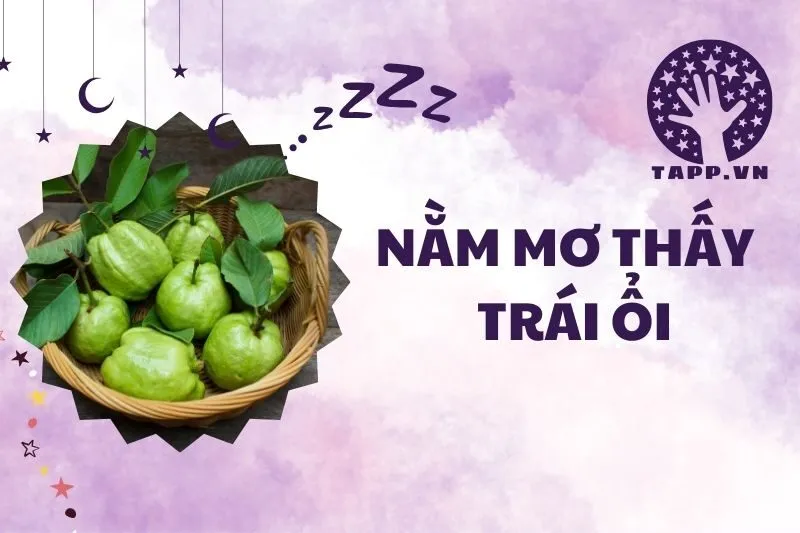 Nằm mơ thấy trái ổi: Giải mã ý nghĩa và điềm báo thú vị 2025