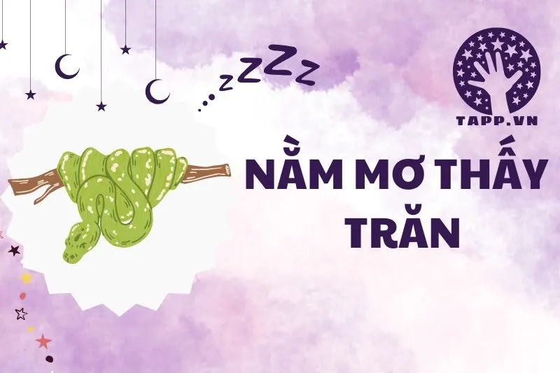 Nằm Mơ Thấy Trăn: Giải Mã Điềm Báo, Ý Nghĩa và Phong Thủy 2025