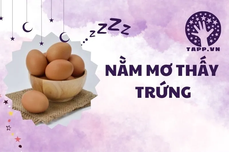 Nằm mơ thấy trứng: Giải mã ý nghĩa và điềm báo chi tiết 2025