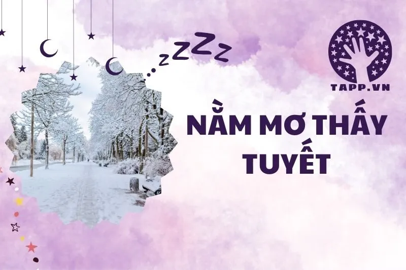 Nằm Mơ Thấy Tuyết: Giải Mã Ý Nghĩa Và Điềm Báo Quan Trọng 2025