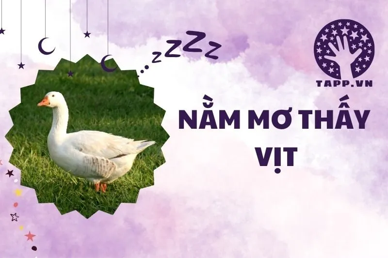 Nằm mơ thấy vịt: Giải mã giấc mơ, ý nghĩa và điềm báo chi tiết 2025