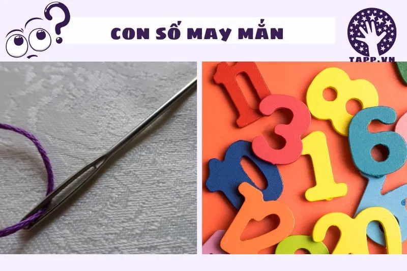 Những Con Số Liên Quan Đến Giấc Mơ Thấy Cây Kim