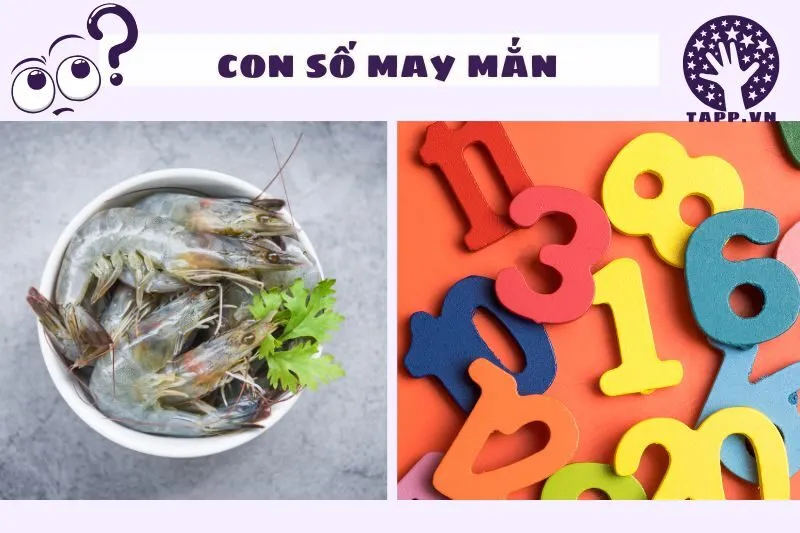 Những con số may mắn khi nằm mơ thấy tôm