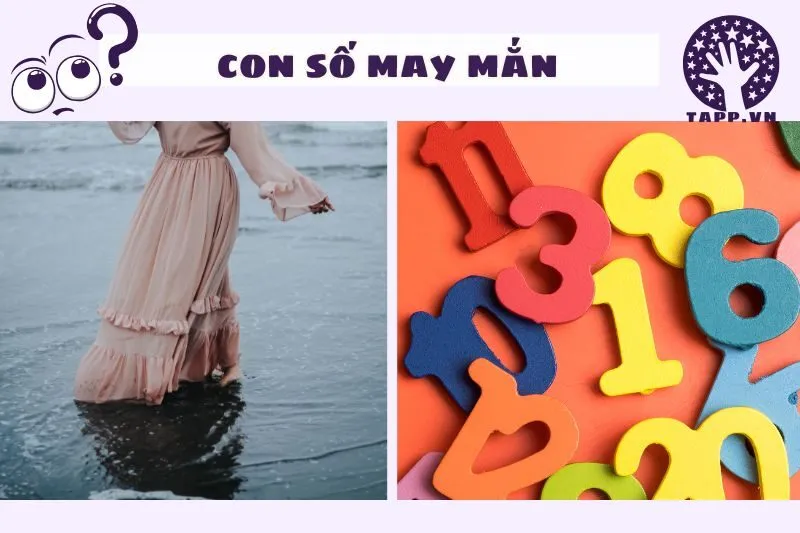 Những con số may mắn liên quan đến giấc mơ lội nước