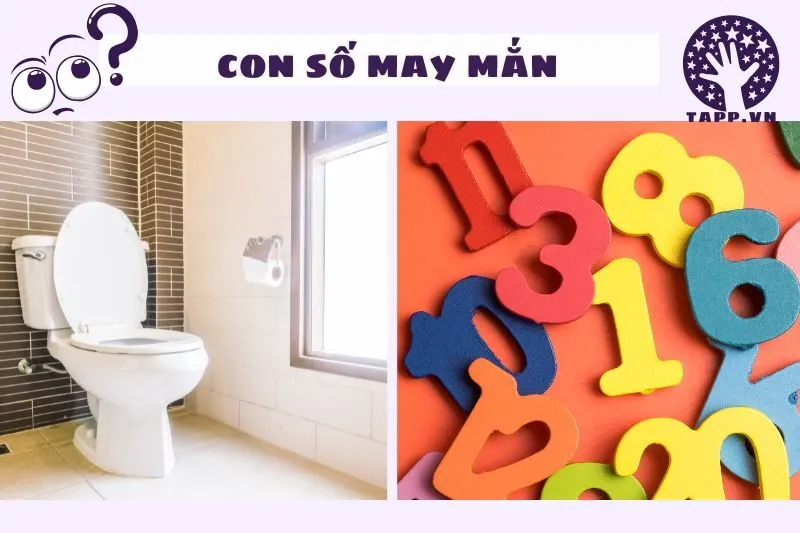 Những Con Số May Mắn Liên Quan Đến Giấc Mơ Nhà Vệ Sinh