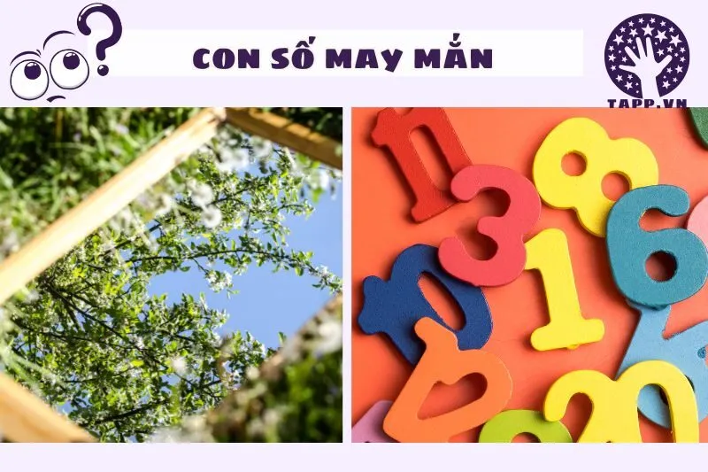 Những con số may mắn liên quan đến giấc mơ thấy gương