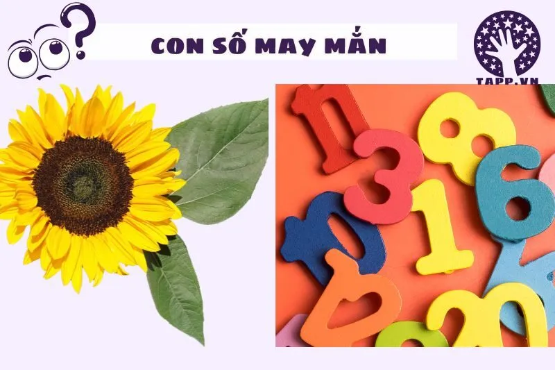 Những con số may mắn liên quan đến giấc mơ thấy hoa