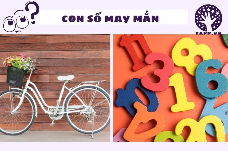 Những Con Số May Mắn Liên Quan Đến Giấc Mơ Thấy Xe Đạp