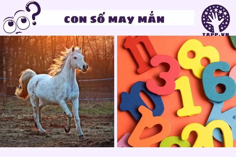 Những Con Số May Mắn Từ Giấc Mơ Thấy Ngựa