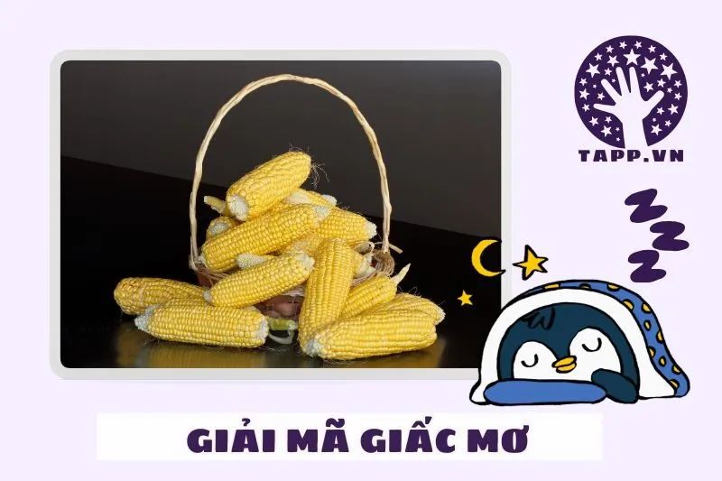 Những điềm báo quan trọng khi mơ thấy bắp ngô