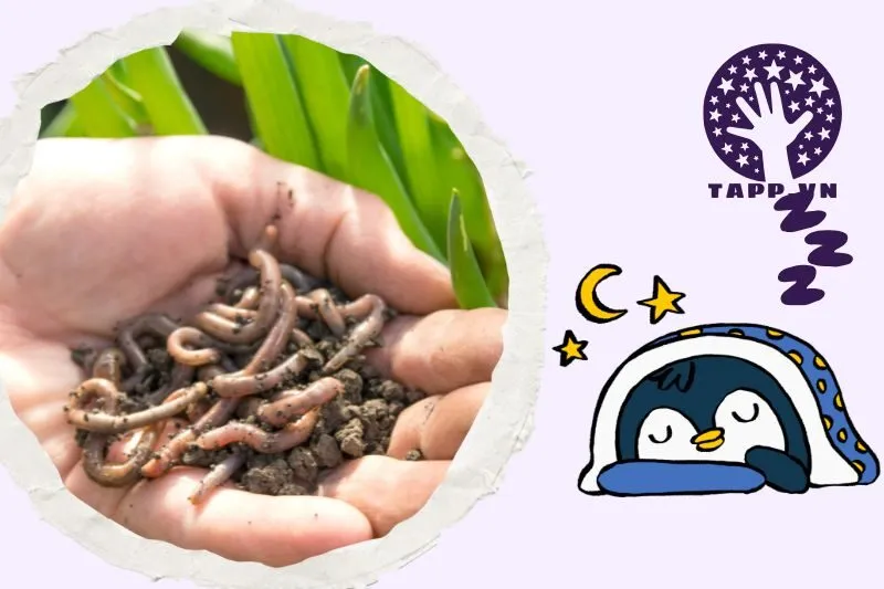 Những loại giấc mơ liên quan đến giun đất và ý nghĩa của chúng