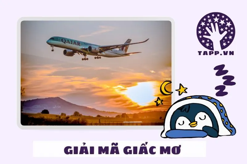 Những loại máy bay thường xuất hiện trong giấc mơ và điềm báo