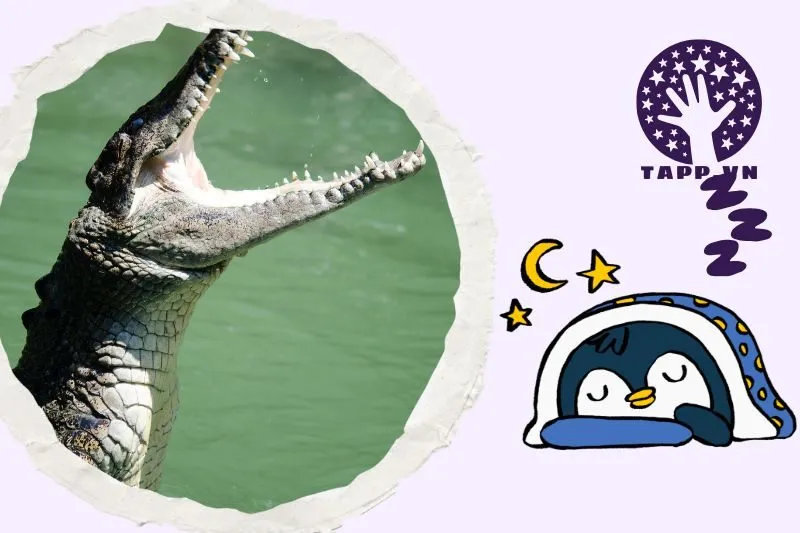 Ý Nghĩa Của Giấc Mơ Thấy Cá Sấu