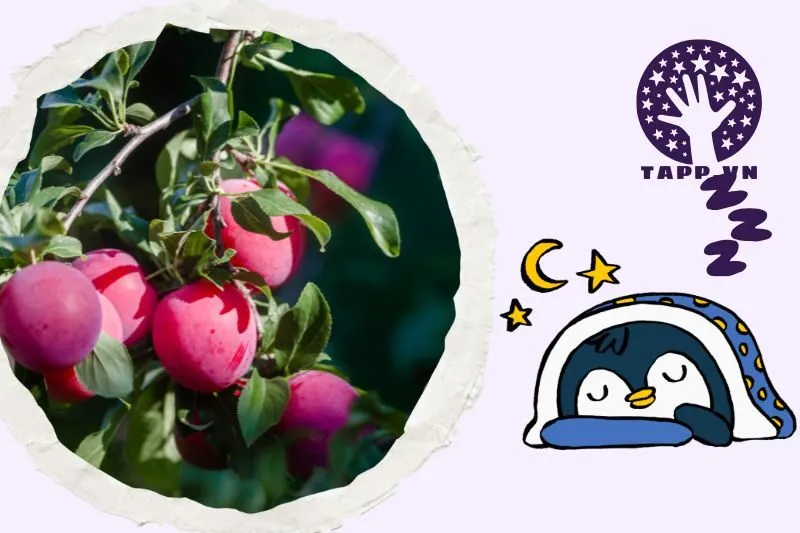 Ý Nghĩa Của Việc Nằm Mơ Thấy Cây Mận