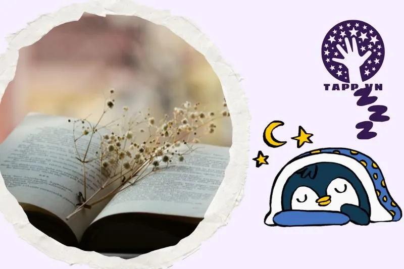 Ý nghĩa của việc nằm mơ thấy sách trong từng tình huống cụ thể