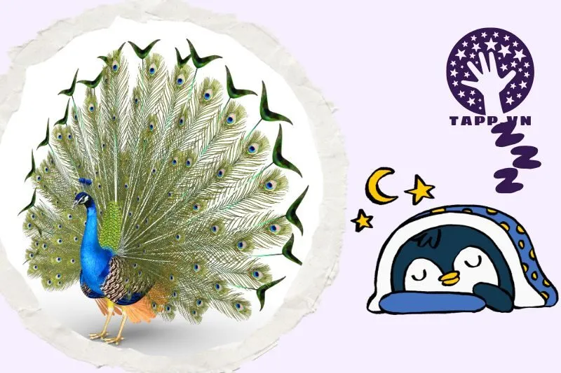 Ý Nghĩa Giấc Mơ Thấy Chim Công Là Gì?