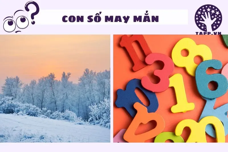 Ý Nghĩa Tâm Linh Và Số May Mắn Khi Nằm Mơ Thấy Tuyết