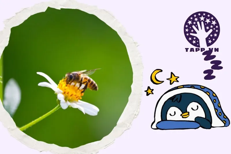 Ý nghĩa tổng quan của giấc mơ thấy ong