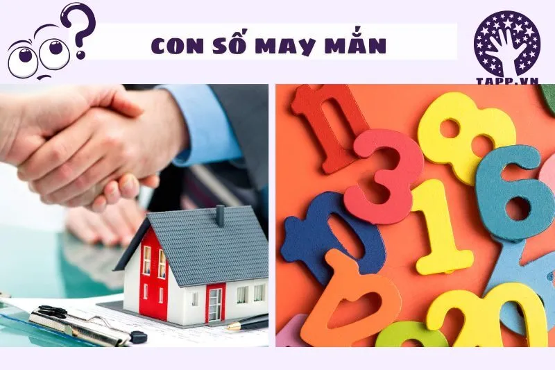 Các con số may mắn liên quan đến giấc mơ thấy bán nhà