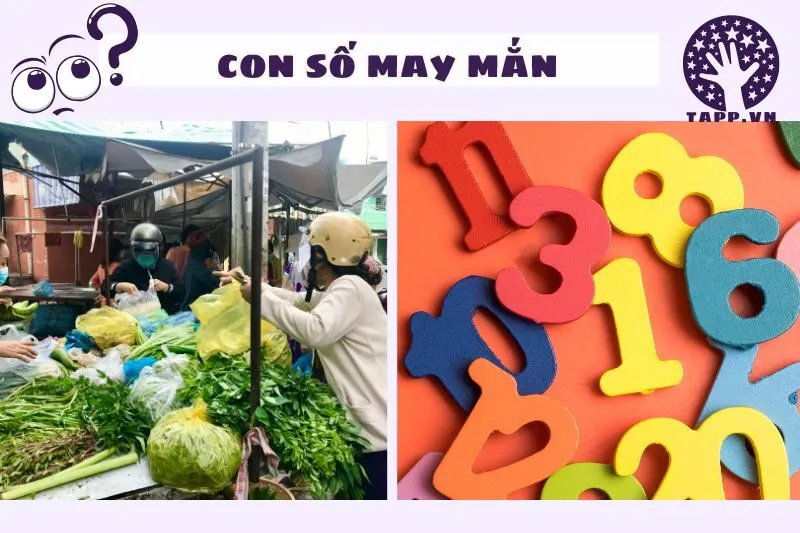 Con số may mắn liên quan đến giấc mơ thấy đi chợ