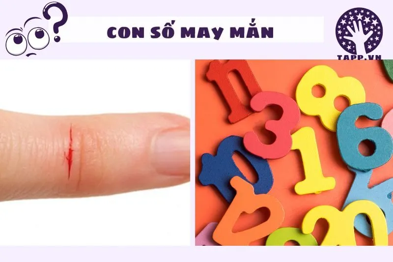 Những con số may mắn liên quan đến giấc mơ thấy đứt tay