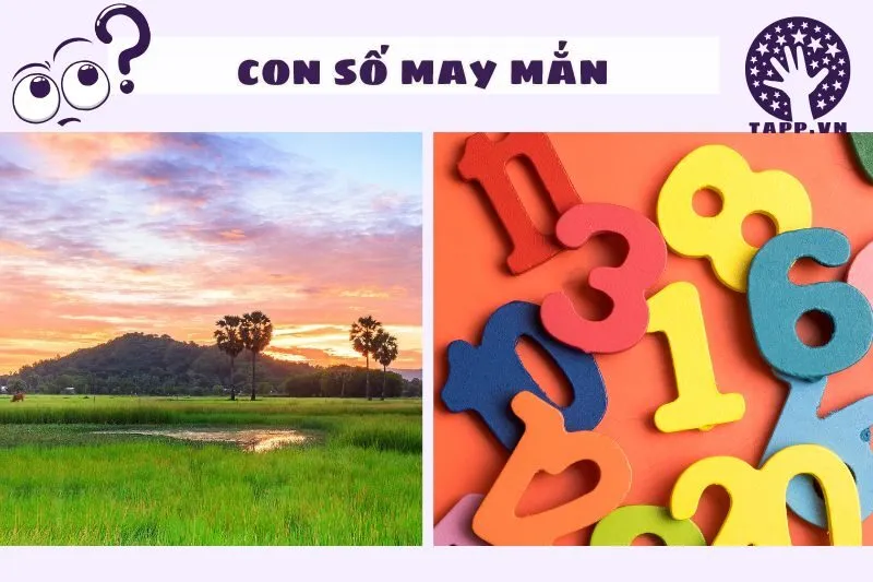 Các con số may mắn liên quan đến giấc mơ nằm mơ thấy về quê