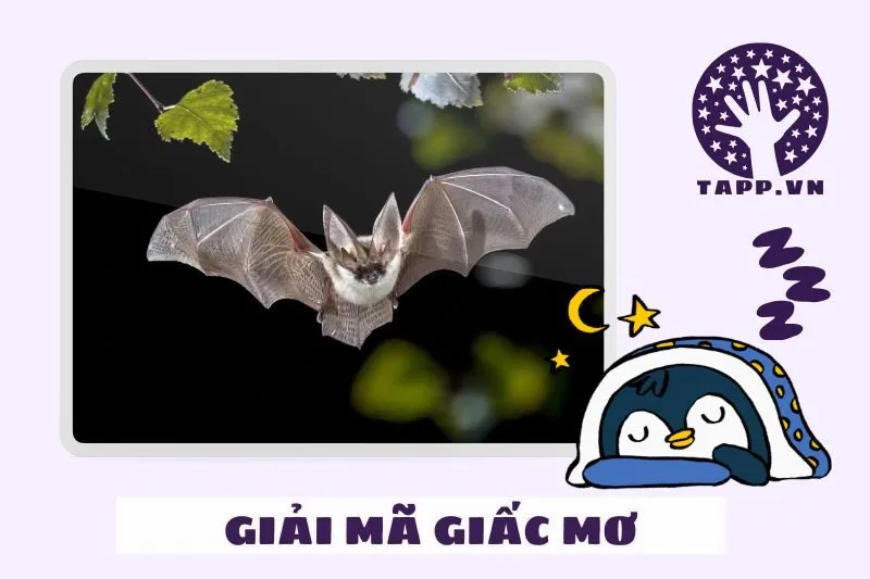 Giải mã chi tiết giấc mơ nằm mơ thấy con dơi
